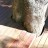 Outdoor timber decking detail - by Avid Carpentry + Construction